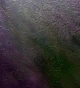Комплект для обивки дверей POLIMER кожвинил тисненый/с утеплителем и декоративными гвоздями Сливовый - изображение 2