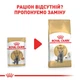 Влажный корм Royal Canin British Shorthair Adult (Роял Канин Бритиш Шортхеа) для британских кошек 85 гр.х 12 - изображение 7