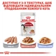 Влажный корм Royal Canin Instinctive in Gravy кусочки в соусе для кошек 12 шт x 85 г - изображение 6