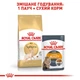 Royal Canin Sphynx Adult (Роял Канін Сфінкс) сухий корм для котів породи Сфінкс від 1 року, 2 КГ - изображение 4
