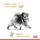 Royal Canin Pomeranian Adult для дорослих собак породи Шпіц 1,5кг - зображення 2