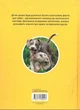 National Geographic Kids. Гав! 100 цікавих фактів про собак - зображення 6
