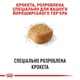 Сухий корм Royal Canin Yorkshire Terrier Adult для йоркширських тер'єрів 1.5 кг - зображення 3