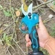 Аккумуляторный секатор электросекатор садовый для обрезки деревьев веткорез сучкорез садовые ножницы 48V 2 АКБ портативный мощный SK5 лезвия до 38мм дисплей индикатор заряда счетчик срезов инструмент для сада обрезки деревьев веток винограда с кейсом - изображение 14