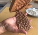 Пряникова дошка Шишка розмір пряника 11*6.5*1 см (2746) - зображення 3