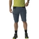 Шорти Dynafit Transalper Dst Shorts Mns 0720 L (100087308) - изображение 1