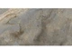 Керамограніт Megagres Forest Light 60x120см - зображення 3