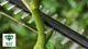 Кусторез Bosch UniversalHedgePole 18 solo (06008B3001) - изображение 5