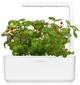 Гроубокс Click and Grow стартовый белый 31,5см (7205 SG3) - изображение 3