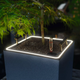 Вазон Lechuza Canto Stone 30 low Led серый камень 30x30x30см 3л (13630) - изображение 8