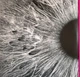 Peter Gabriel - I/O (Bright-Side Mixes) (2 пластинки, Раскладная обложка, Альбом) - изображение 3