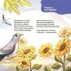 Мамина библиотечка. Стишки для малышей. Комплект из 4-х книг - Ю. Забияка, Ю. Пелихова (на украинском языке) - изображение 2