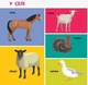 Книга «100 тварин. Смарт-книги». Автор - Катерина Трофимова - зображення 7