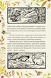 Книга «Казка про містера Лиса. Казка про місіс Кольколь». Автор - Беатрікс Поттер - зображення 6