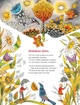 Книга «Бузиновий цар». Автор - Ліна Костенко - изображение 4