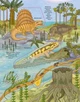 Книга «Динозаври. Цікаве всередині». Автор - Елеонора Барзотті - изображение 4