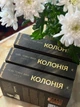Книга «Нові Темні Віки. Колонія». Автор - Макс Кідрук - изображение 3