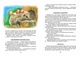 Книга «Всі добрі люди - одна сім`я.». Автор - Василь Сухомлинський - изображение 4