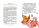 Книга «Пригоди динозавриків». Автор - Еліна Заржицька - зображення 4