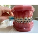 Ортодонтическая зубная щетка "Pro-Ortho" Edel White - изображение 5