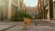 Ключ активации Little Strays 2 - Valley of Colors для Xbox One/Series S/X - изображение 10