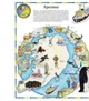 Книга Атлас світу ілюстрований - изображение 14