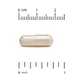 Пробиотики California Gold Nutrition (LactoBif Probiotics) 30 млрд КОЕ 60 капсул CGN00965 - изображение 4