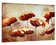Картина на полотні Art Dekors Маки червоні 80x160 см MLP 11 - зображення 1