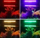 Лампа для аквариума подводная RGB Q30RM 30 см c пультом PetJoy - изображение 4