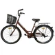 Велосипед SPARK CITY LIRA (колеса - 26", стальная рама - 17") с корзиной коричневый - изображение 2