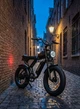 Велосипед електричний потужний електро фетбайк велосипед для дорослих fatbike з дисплеєм фарою на акумуляторі з крилами потужною рамою гірський чоловічий для міста села бездоріжжя Q20mini 48V 15AH 750W Ridstar Чорний 73950 - зображення 11