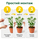 Хвиляста скоба для рослин 2.6мм/30см кільцева опора для томатів квітів підпора пружинна сталь ґрунтова - зображення 8