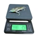 Воблер DEPS Tiny Bull Shooter SS #01 REAL BLUEGILL, б/в - зображення 9