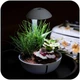 Мінітераріум Chihiros Tiny Terrarium Egg з LED-підсвіткою та керуванням через застосунок - зображення 2