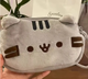 Пенал Косметичка Кот Пушин Pusheen 2 отделения - изображение 3