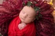 Обмотка для пеленания новорождённого для фотосессии VTILENE, Christmas red, 60х400 см - изображение 2