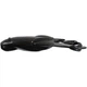 Силикон рыболовный Keitech Noisy Flapper 3.5 (5 шт/уп) к001 black (1551.12.68) - изображение 2