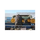 Рюкзак туристический Caterpillar (CAT) Barry 84055-634 31L темний камо (5711013149048) - изображение 8