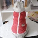 Флисовая кофта для котов (кошек) Зефир S Красный - изображение 4