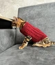 Светр для котів (кішок) Косичка XS Червоний - зображення 6