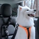 Uchwyt samochodowy Spigen PS100 Universal Car Seat Belt Holder for Pets Black (8809971237567) - obraz 9