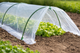 Садовая плёночная теплица 1.5x4 м Garden Line EVA5417 арочный туннель для растений парник для рассады овощей теплица для дачи и огорода фольгированный укрывной мини парник защита от ветра дождя солнца компактная складная теплица - изображение 7