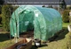 Теплиця Парник Тунель 3x4,5x2 - 13,5 м2 Зелений Focus Garden - изображение 4