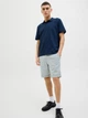 Шорти JACK&JONES світло-сірий JGSGA700 3XL - изображение 2