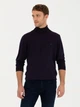Гольф-водолазка мужская Pierre Cardin G021SZ0TK-000-1652035(Mor) L Темно-бордовая (8683856274443) - изображение 1