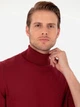 Гольф-водолазка мужская Pierre Cardin G021SZ0TK-000-2028197(Vişne) M Вишневая (8683857743249) - изображение 4