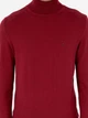 Гольф-водолазка мужская Pierre Cardin G021SZ0TK-000-2028197(Vişne) M Вишневая (8683857743249) - изображение 6
