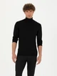 Гольф-водолазка мужская Pierre Cardin G021SZ0TK-000-1652035(Siyah) M Черная (8683856272405) - изображение 1