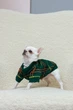 Свитер для собак Dogs Bomba в'язаний Burberry смарагд Y-366 7 р. - изображение 2