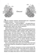Лихий король (9789669821706) - изображение 3